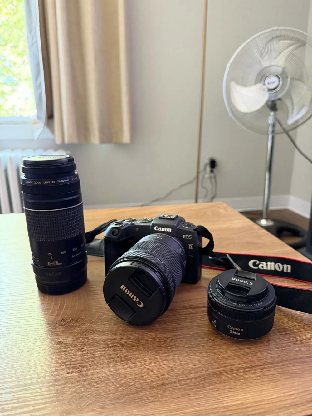 Canon RP comes with 24-105 , 75-300 , 50 mm lenses. Go Pro hero 10 black.